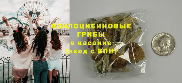 сатива Ступино